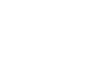 STORE PALETTE